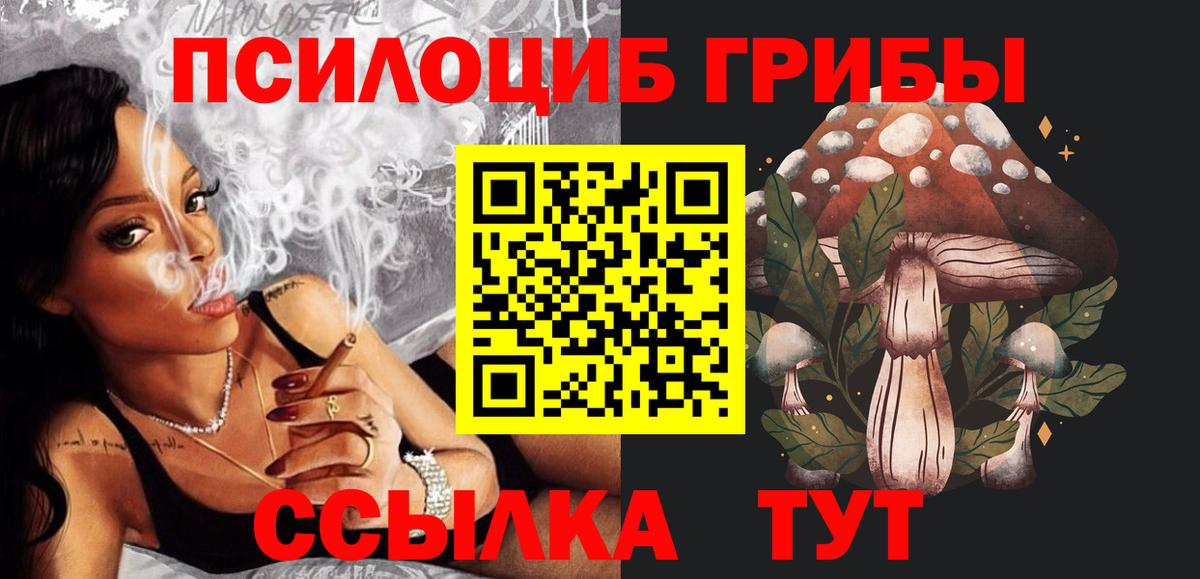 Советск  Галлюциногенные грибы мицелий  Вход с VPN 