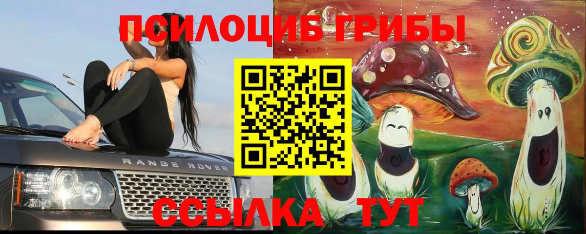 Галлюциногенные грибы MAGIC MUSHROOMS Советск
