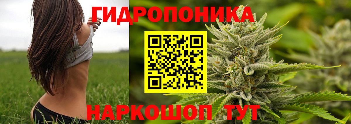  Кокаин Советск